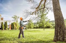 Best Lawn Watering Services  in , MO